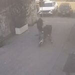 San Lorenzo, è emergenza sicurezza